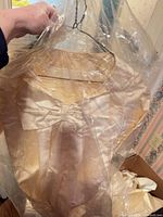 Ivory satin gown on hanger in clear plastic