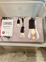 Box of Canvas Montmartre garden string lights in plastic bin