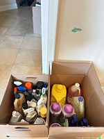 Two boxes filled with assorted cleaning and laundry products