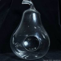 Full view of clear glass pear-shaped terrarium