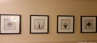 All four framed floral prints hanging on wall