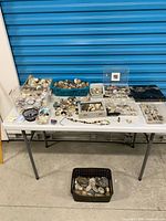 Table view of all containers of shells, stones, minerals and accessories