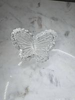 Top view showing butterfly shape, scalloped edges, wing texture