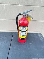 Front view of extinguisher showing cylinder, instruction label and hose