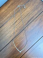 Full view of necklace showing V bar, chain, clasp and extender