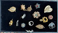 full tray showing all brooches and pendant