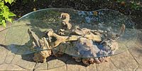 Full view of coffee table showing driftwood base and freeform glass top