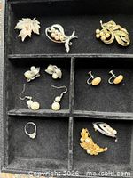 Tray overview showing all brooches, earrings and ring