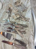 All flatware pieces spread out on countertop