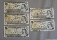 All five $1 Canadian notes laid out for overall view