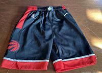 Full view of front of shorts showing team logo and color scheme