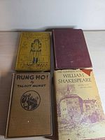 Front covers of all four books showing titles and dust jacket