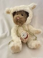 Full view of Boyds bear wearing sheep outfit