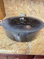 Roaster showing exterior and lid