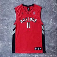 Front view of red Toronto Raptors TJ Ford #11 Adidas jersey