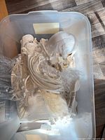 Skeleton parts in tote