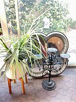 Mirror, candelabra, plant together for scale and overview