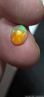 Opal cabochon held between fingers showing green flash