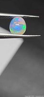 Front view of oval cabochon opal in tweezers showing play of color