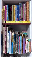 Front view of two shelves holding roughly 40 assorted children’s books with titles visible on spines