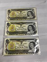 Three Canadian $1 notes in sleeves