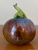 Front view showing iridescent body and green stem