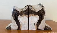 Front view of petrified wood bookends side by side showing polished inner faces and coloration