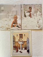 Group view of all three laminated prints