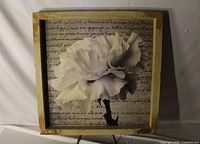 Full view of framed white flower wall art