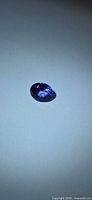 Loose oval tanzanite gemstone on neutral background