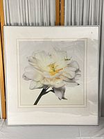 Full view of framed floral print on table