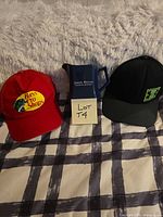 Group shot showing both caps and Wade jug