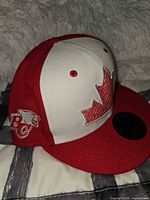 Front and side view showing embroidery and visor