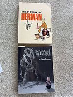 Both books front covers visible