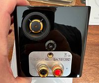 Rear view of Radius 45 speaker showing binding posts, model label and serial number