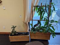 Two wooden planters side by side, one with trellis and large cactus, other with potted bonsai