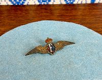 Front view of enamel RAF silver wings badge