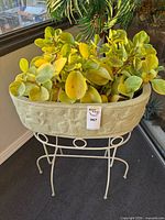 Plant, planter, and stand full view on balcony