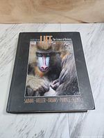 Front cover showing title, edition and authors