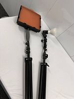 Two photography light assemblies on folded black metal tripod stands