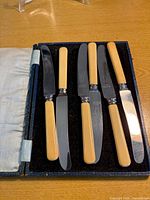 Open presentation box showing six spreaders with Bakelite handles