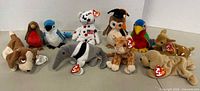 Group shot of all 10 Beanie Babies