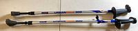 Both Urban Pole 300 walking poles full length view