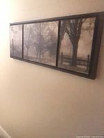 Long three-panel framed scenic print on wall