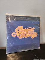 Front of Fleetwood Mac In Chicago album in plastic sleeve