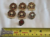 Front view of all seven ODHA pins with measuring tape