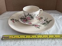 Cup on saucer on dinner plate with tape measure showing size