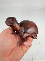 Front angled view showing head, shell and wood grain