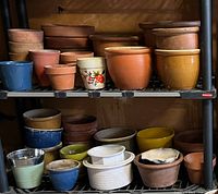 Two shelving levels holding an assortment of terracotta, ceramic and glazed plant pots in various colours and sizes