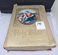 Front cover showing gold padded design, embossed Holy Bible text, illustration medallion